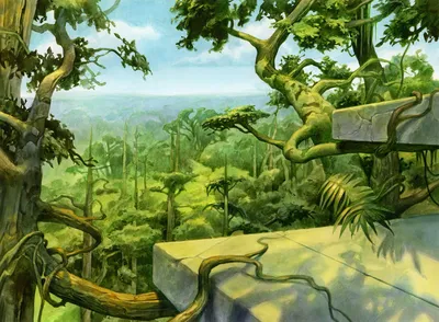 Forest 2