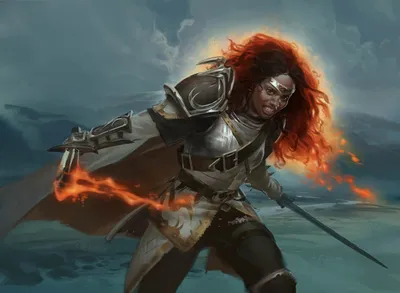 Sigardian Paladin