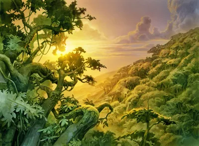 Forest 3