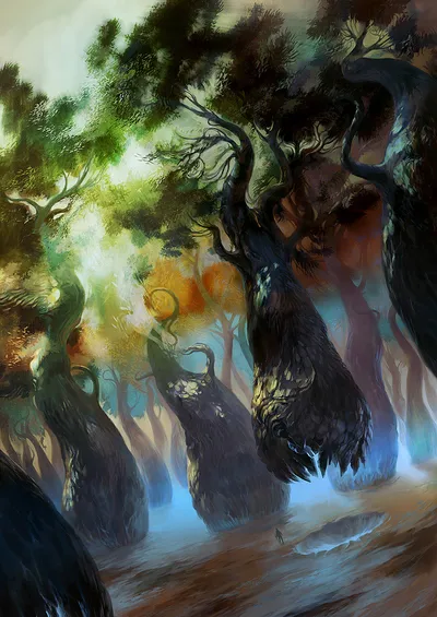 Forest 5