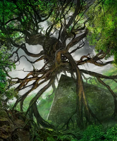 Forest 7