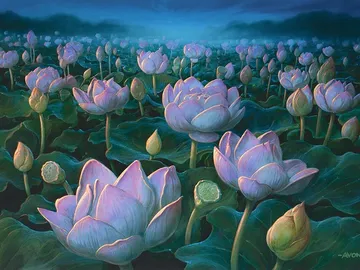 Lotus Field