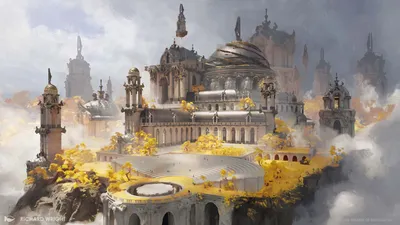 Forum of Amity
