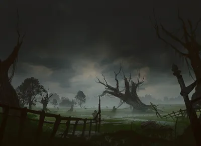 Swamp 1