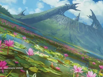 Sunlit Marsh