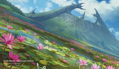 Sunlit Marsh