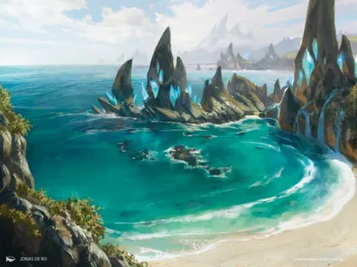 Tranquil Cove