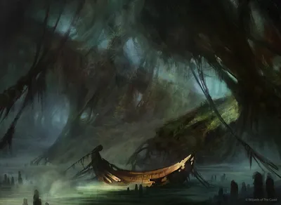 Swamp 2