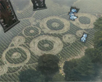 Etched Cornfield