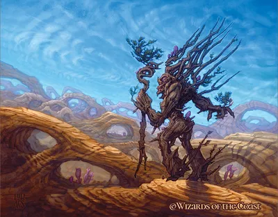 Traverse the Outlands 1