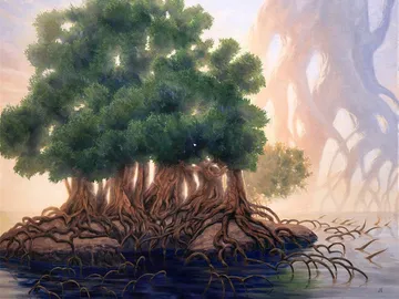 Tangled Islet