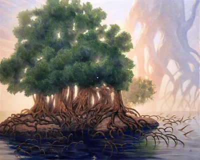 Tangled Islet