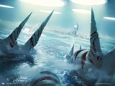 Seachrome Coast 1