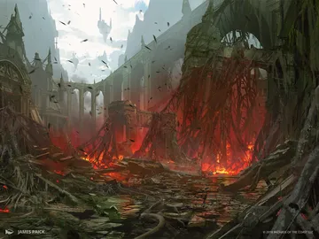 Stomping Ground