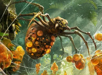 Sweet-Gum Recluse