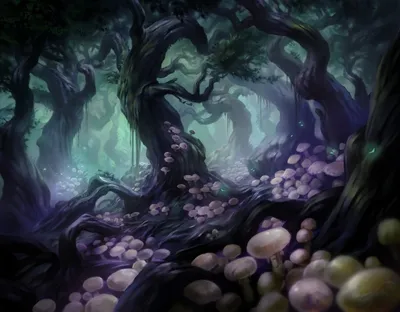 Deathcap Glade 1