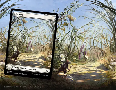 Plains 1