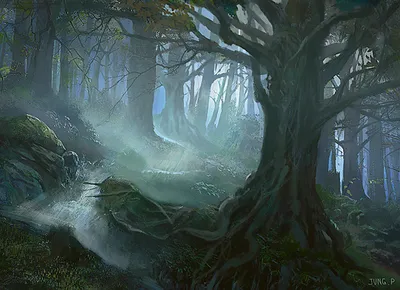 Forest 2