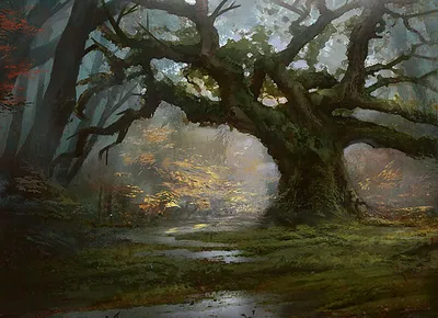 Forest 3