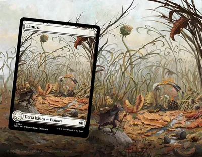 Plains 3