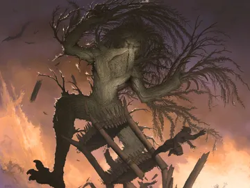 Woodfall Primus