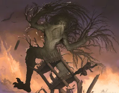 Woodfall Primus