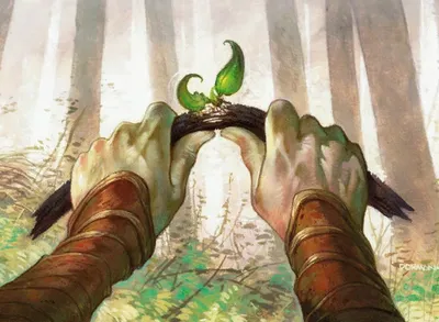 Wanderer's Twig