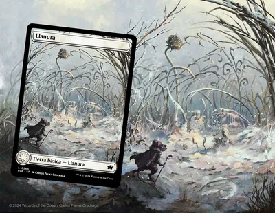 Plains 4