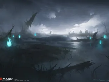 Swamp 1