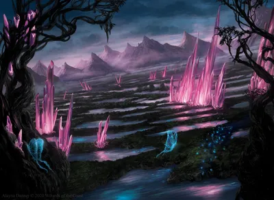 Swamp 1