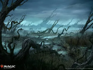 Swamp 2