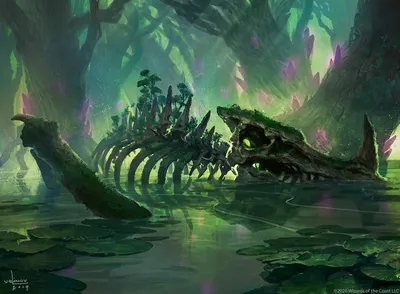 Swamp 3