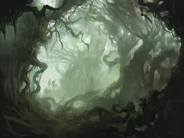 Forest 1
