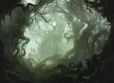 Forest 1