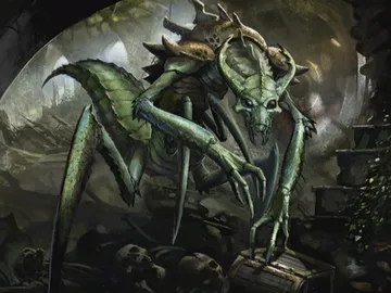 Kraul Raider