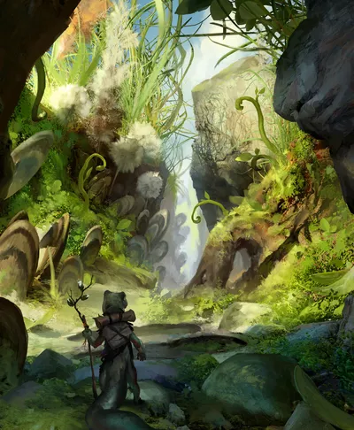 Swamp 1