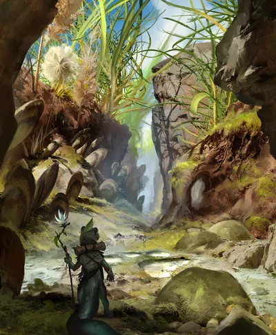 Swamp 2