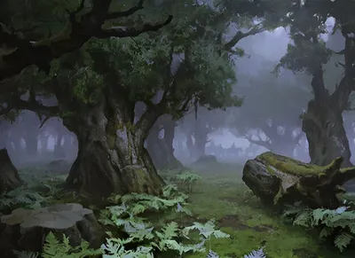 Forest 2
