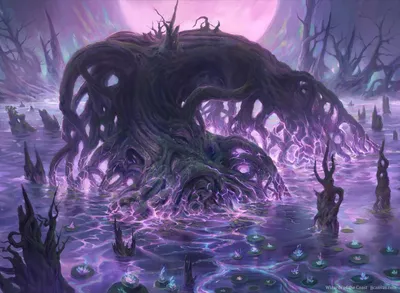 Swamp 1