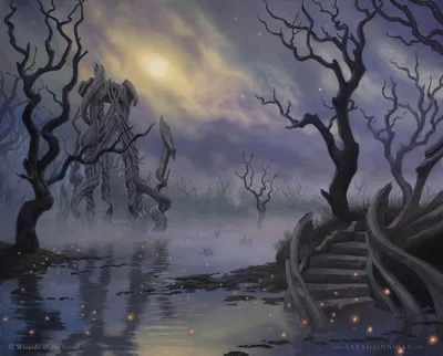 Swamp 2