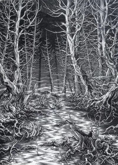 Swamp 1