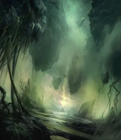 Swamp 1