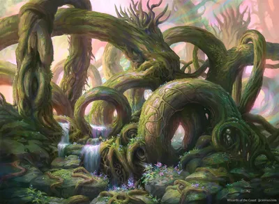 Forest 1