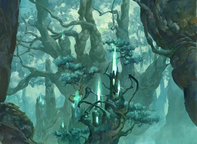 Forest 2