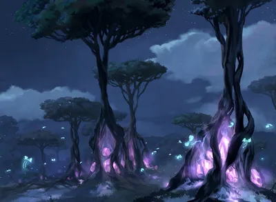 Forest 3