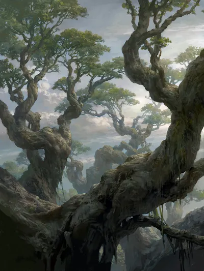 Forest 9