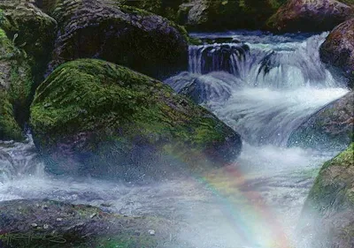 Vivid Creek