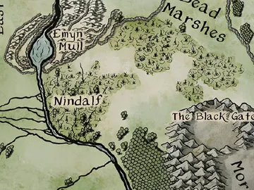 Swamp 3
