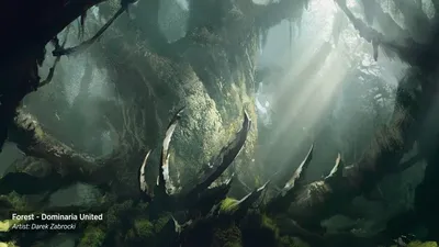 Forest 3