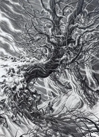 Forest 1